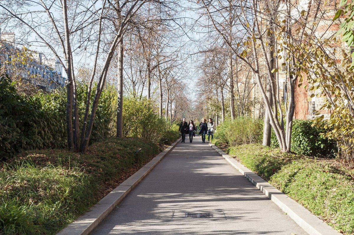 Allée rectiligne de la Coulée verte entre deux haies, sous des arbres en automne