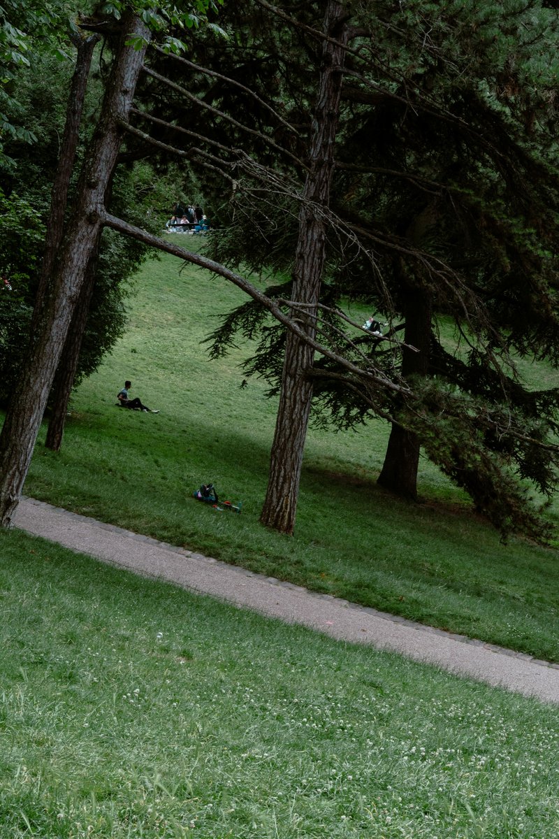 Allée en pente qui traverse une pelouse sous de grands arbres, dans un parc